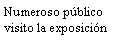 Cuadro de texto: Numeroso pblico visito la exposicin